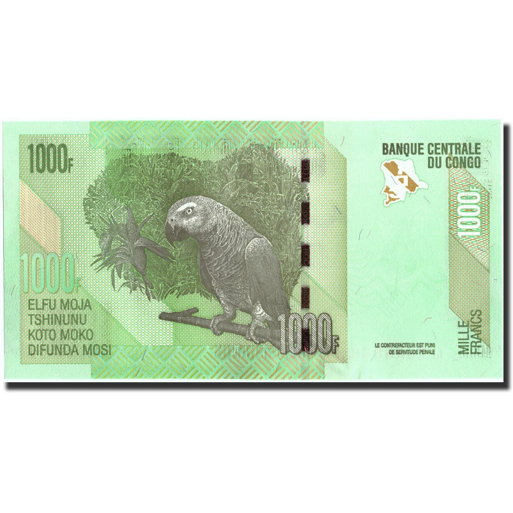 Banknote, Congo Democratic Republic, 1000 Francs, 2013, 2013-06-30, KM:101a