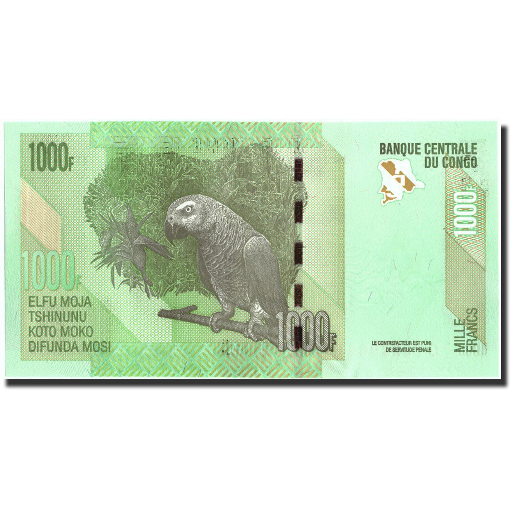 Geldschein, Congo Democratic Republic, 1000 Francs, 2013, 2013-06-30, KM:101a
