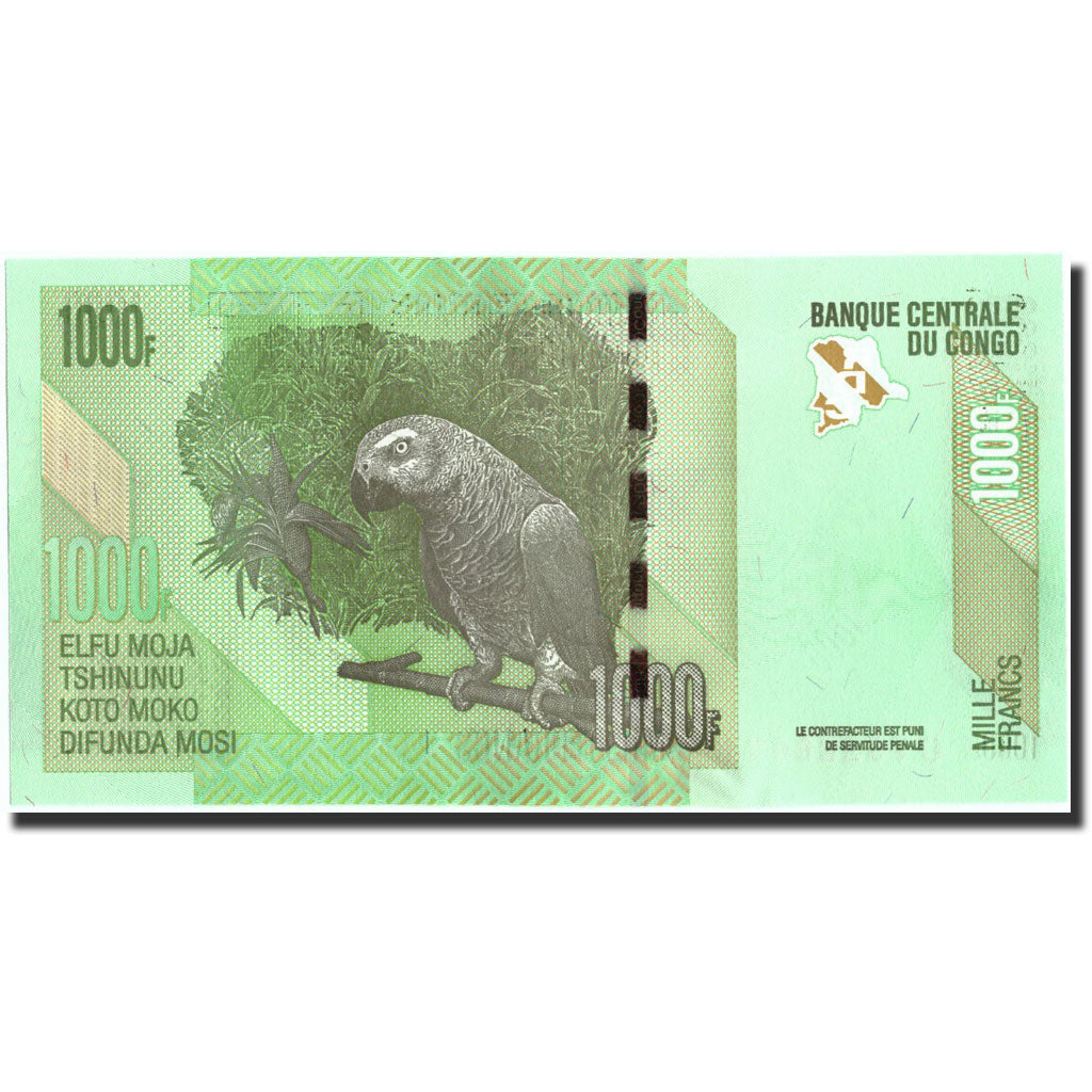Banknote, Congo Democratic Republic, 1000 Francs, 2013, 2013-06-30, KM:101a