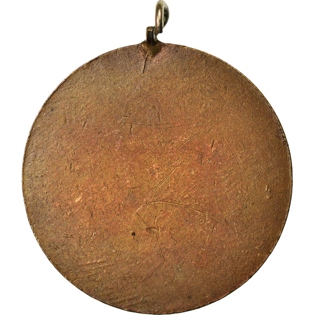 Frankreich, Medaille, François Ier, History, SS+, Bronze