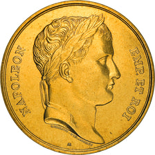 France, Medal, Napoléon Empereur et Roi, David, MS(65-70), Nickel-brass