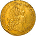 Monnaie, France, Louis XIV, 1/2 Louis d'or, 1691, Reims, TTB, Or, Gadoury:239