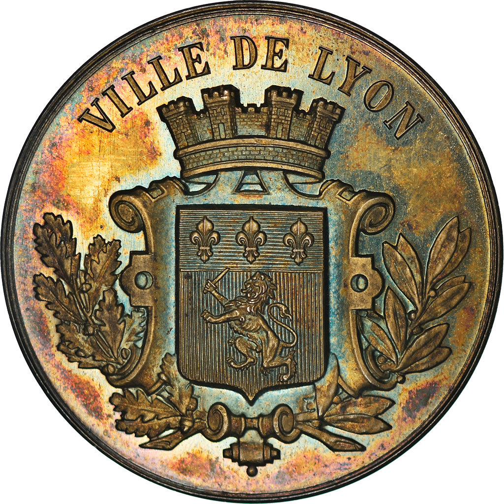 Frankreich, Token, Ville de Lyon, Arts & Culture, 1889, Société Lyonnaise des