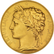 França, Medal, Exposition Universelle Internationale de Paris, 1878, Chaplain