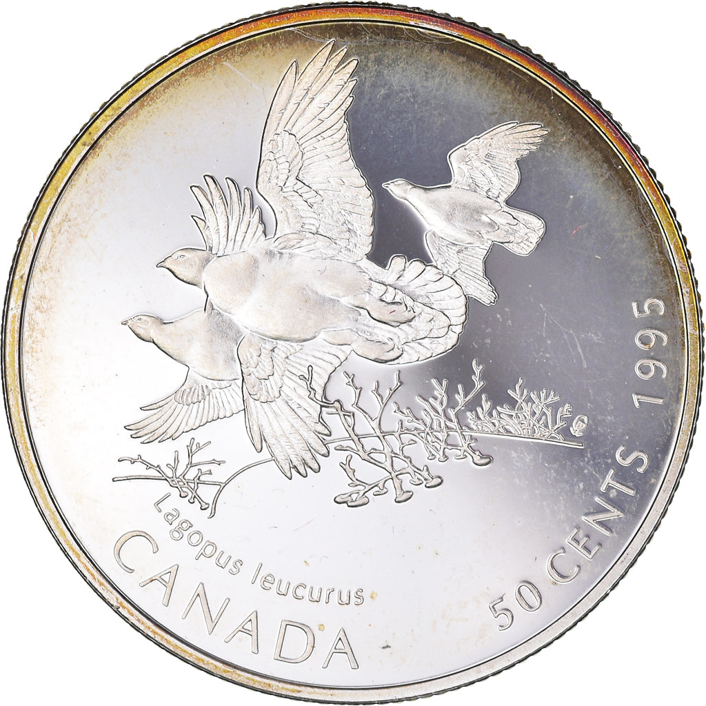 Moneda, Canadá, Elizabeth II, 50 Cents, 1995, Royal Canadian Mint, Ottawa