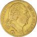 Coin, France, Louis XVIII, Louis XVIII, 20 Francs, 1819, Paris, EF(40-45), Gold