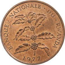Rwanda, 5 Francs, 1977, British Royal Mint, Bronze, AU(55-58), KM:13