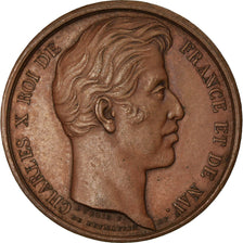 Francia, Token, A Charles X, La Ville de Lille Reconnaissante, 1827, De