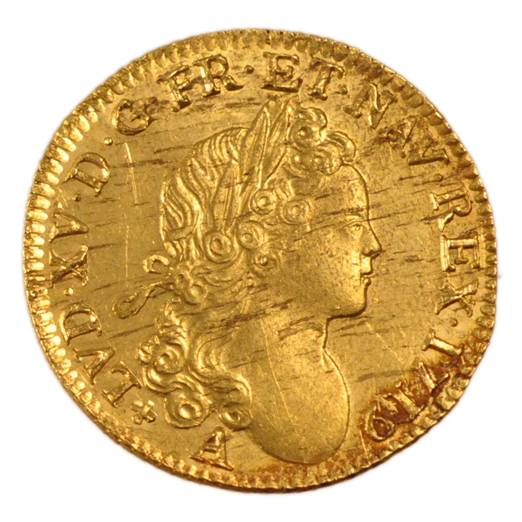 FRANCE, Louis d'or à la croix du Saint-Esprit, Louis d'Or, 1719, Paris, A...