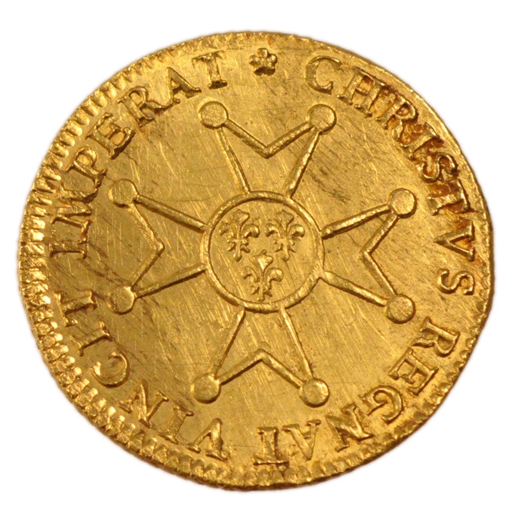 FRANCE, Louis d'or à la croix du Saint-Esprit, Louis d'Or, 1719, Paris, A...