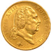 Louis XVIII, 40 Francs or