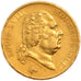 FRANCE, Louis XVIII, 40 Francs, 1817, Paris, AU(50-53), Gold, Gadoury #1092,...
