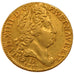 Louis XIV, Louis d'or au soleil
