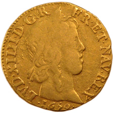 Louis XIV, Louis d'or à la mèche longue