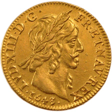 Louis XIII, Louis d'or de Warin