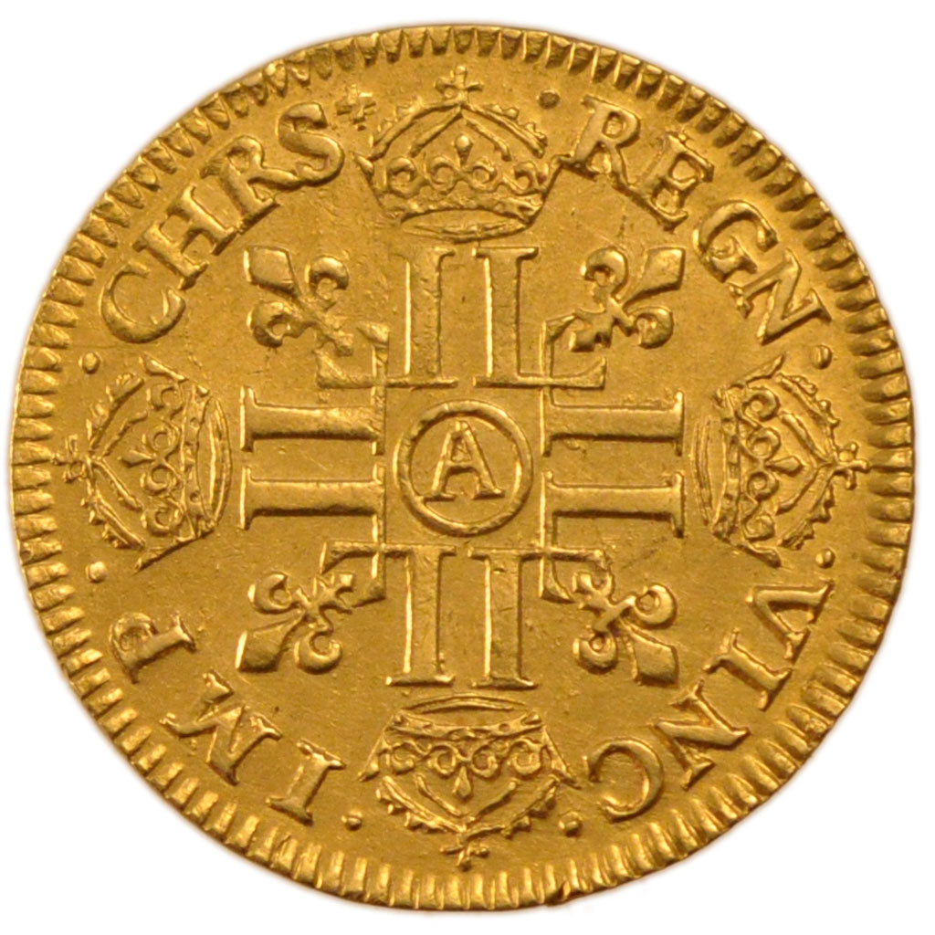 Louis XIII, Louis d'or de Warin