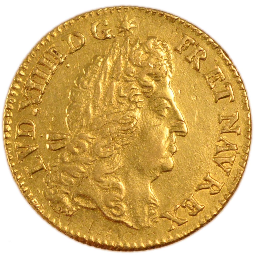 Louis XIV, Louis d'Or à l'Écu