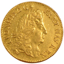 Louis XIV, Louis d'Or à l'Écu