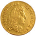 Louis XIV, Louis d'Or à l'Écu