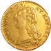 Louis XVI, Double Louis d'or à la tête nue