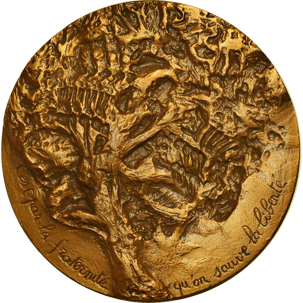 France, Medal, UNESCO, Victor Hugo, 1985, AU(55-58), Bronze