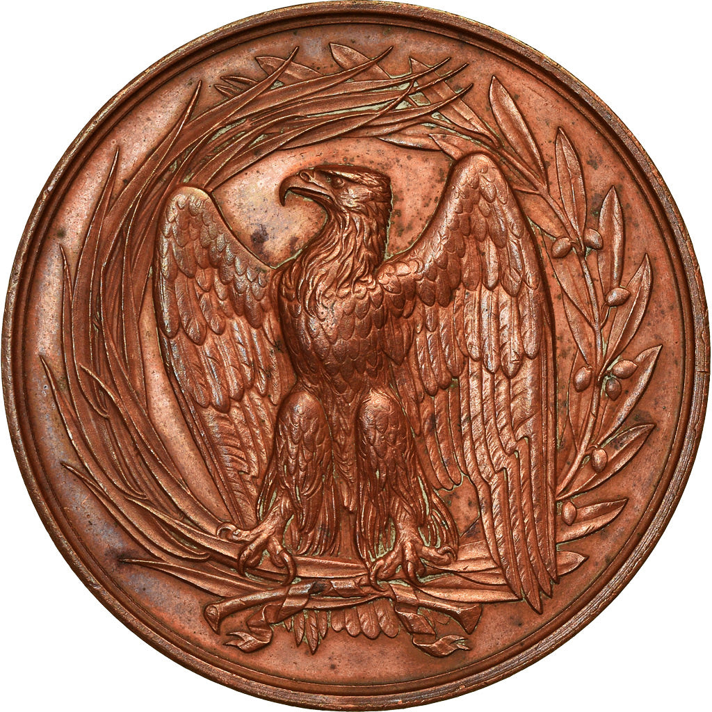 Francia, medaglia, Enseignement Primaire, Boeseghem, Nord, 1868, Farochon, BB+