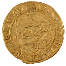 Belgium, Florin, Brugges, EF(40-45), Gold, Delmonte #513, 3.28