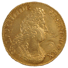 Moneta, Francia, Louis XIV, Écu aux 8 L 2e type, Ecu, 1704, Amiens, BB+