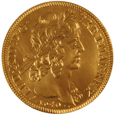 Louis XIII, Refrappe du 10 Louis d'or au col nu