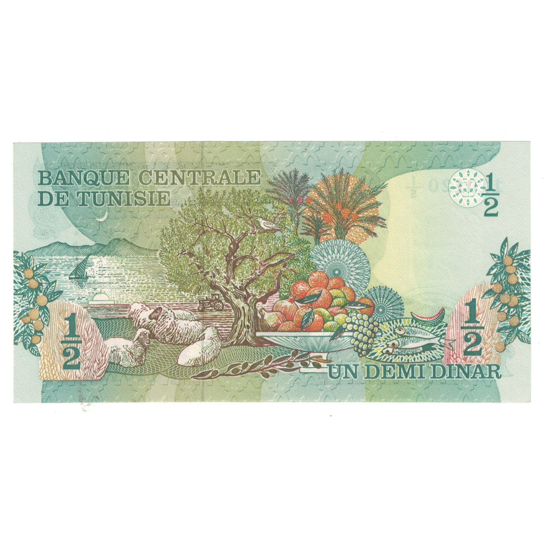 Banknote, Tunisia, 1/2 Dinar, 1973, 1973-10-15, KM:69a, UNC(65-70)