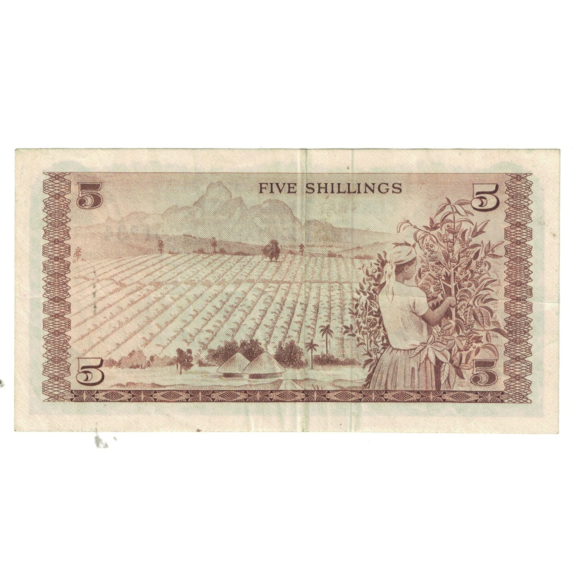 Banknote, Kenya, 5 Shillings, 1972, 1972-07-01, KM:6c, EF(40-45)