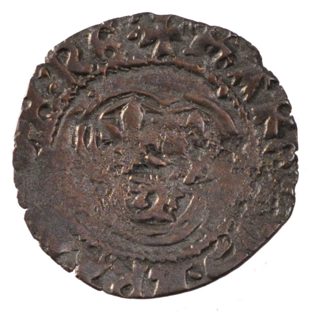 Charles VIII,  Double Tournois du Dauphiné
