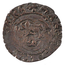 Charles VIII,  Double Tournois du Dauphiné