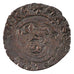 Charles VIII,  Double Tournois du Dauphiné