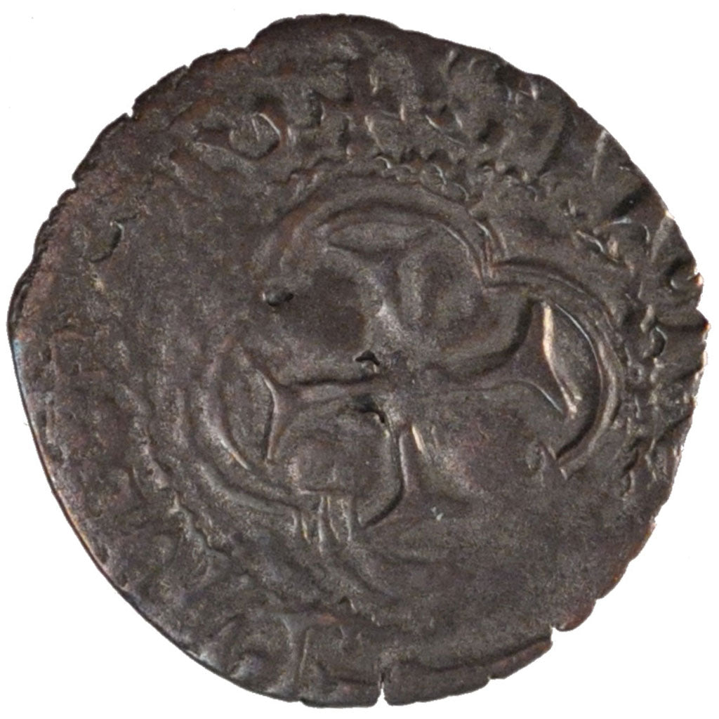 Charles VIII,  Double Tournois du Dauphiné