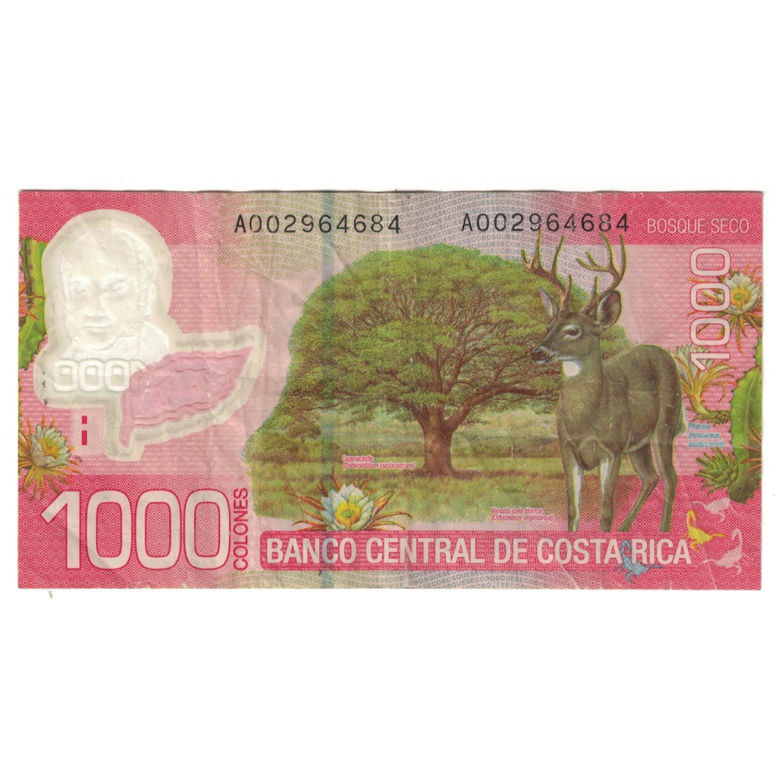 Banknote, Costa Rica, 1000 Colones, 2010, 2009-09-02, KM:274, EF(40-45)