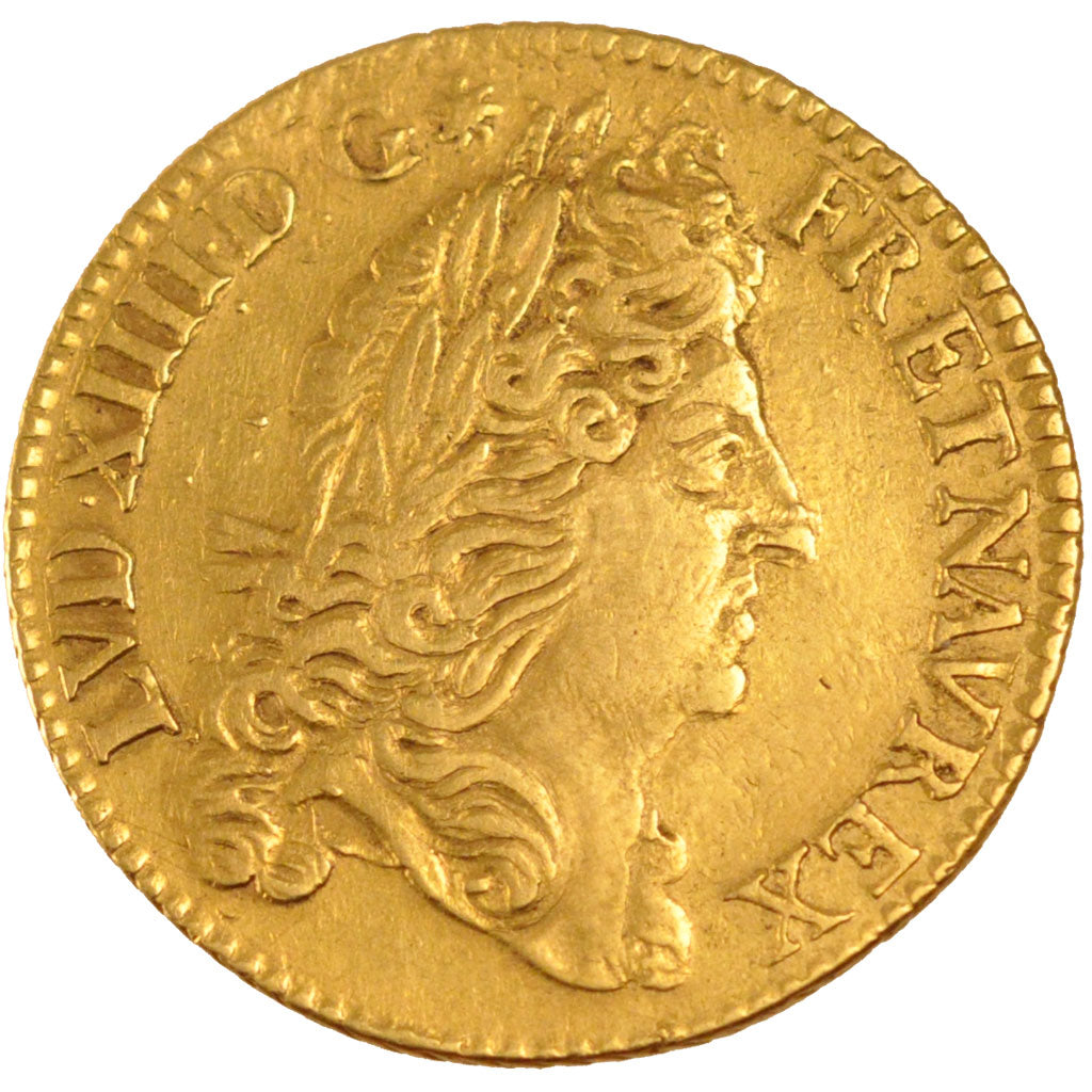FRANCE, Double louis d'or à l'écu, 2 Louis D'or, 1690, Paris, KM #280.1, AU(50-5