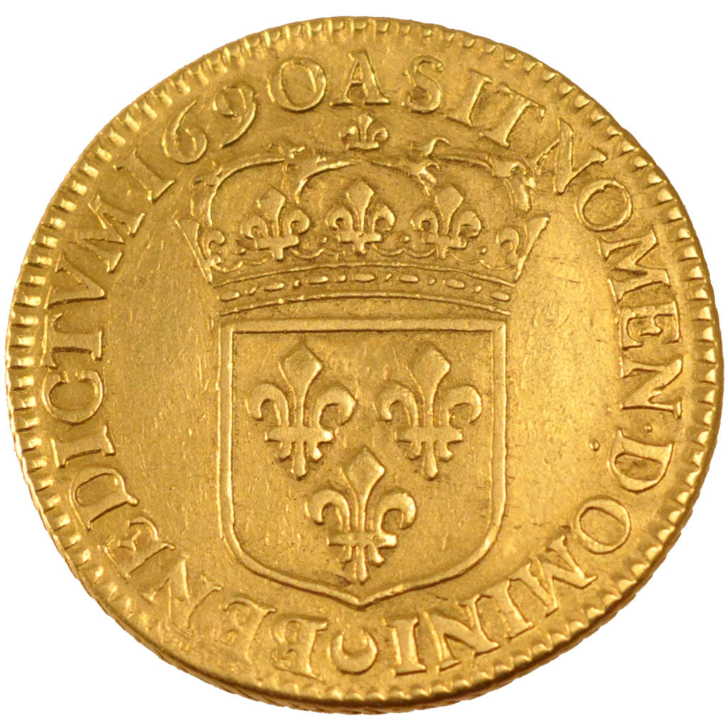FRANCE, Double louis d'or à l'écu, 2 Louis D'or, 1690, Paris, KM #280.1, AU(50-5