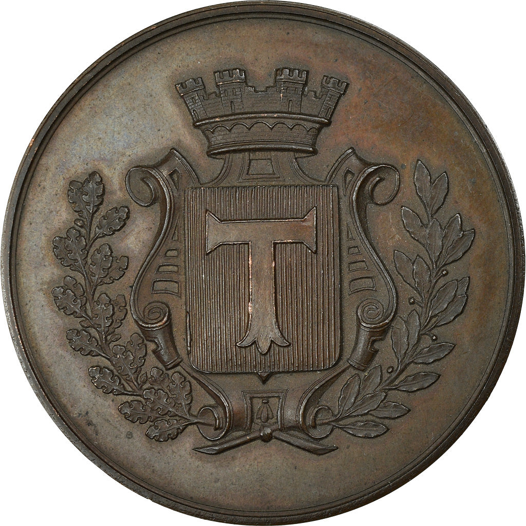 Frankrijk, Medaille, Toul, Guerre Franco-Prussienne, Politics, Society, War