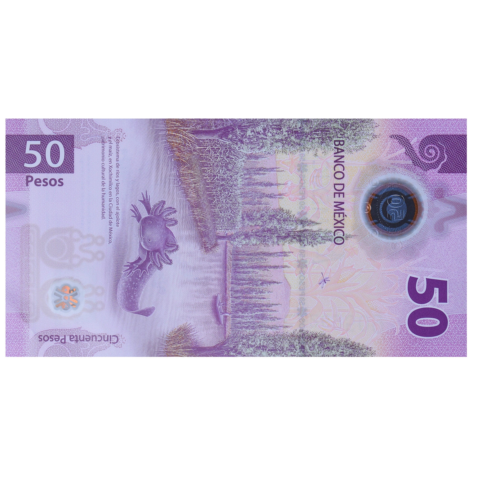 Geldschein, Mexiko, 50 Pesos, 2021, 2021-03-21, UNZ