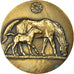 France, Medal, Agriculture, Concours Centrale Hippique, Paris, Bouchard