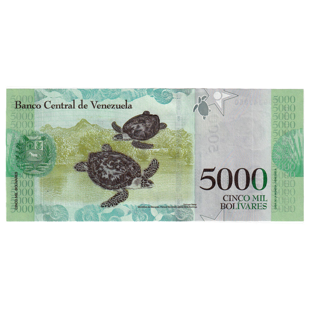 Banknote, Venezuela, 5000 Bolivares, 2017, 2017-12-13, UNC(65-70)