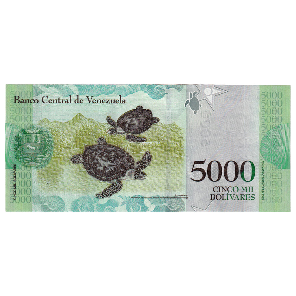 Banknote, Venezuela, 5000 Bolivares, 2017, 2017-12-13, UNC(65-70)