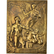 France, Médaille, Art Nouveau, Agriculture, Blin, SUP, Bronze