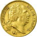 Moneta, Francia, Louis XVIII, Louis XVIII, 20 Francs, 1818, Lille, BB, Oro