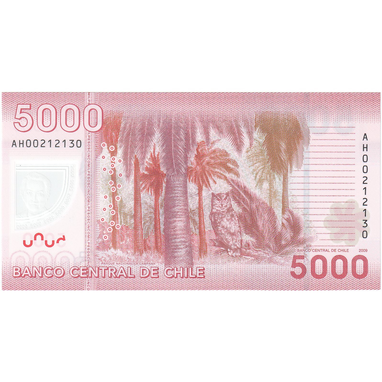 5000 Pesos, 2009, Chile, KM:163b, UNC