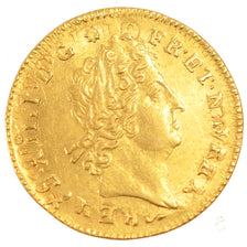 FRANCE, Louis d'Or, Rennes, AU(55-58), Gold, Gadoury #253, 6.70