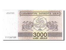 Banknote, Georgia, 3000 (Laris), 1993, UNC(65-70)