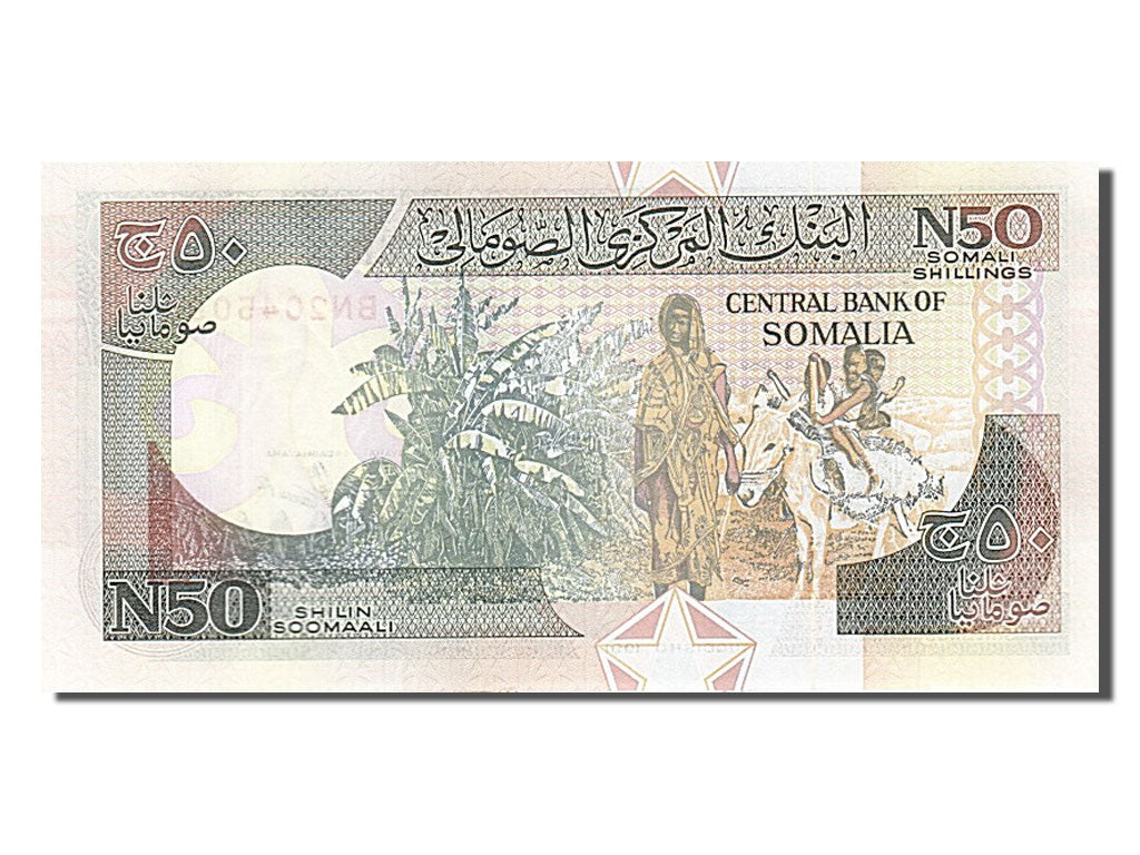Geldschein, Somalia, 50 N Shilin = 50 N Shillings, 1991, UNZ