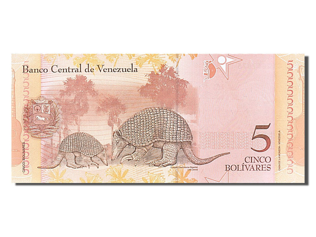 Venezuela, 5 Bolívares, 2007, KM #89a, 2007-03-20, UNC(65-70), C 12657875